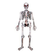 Hngedekor Skelett aus Papier 135cm