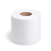 Toilettenpapier WC-Papier 10,5 cm 2-lagig 150 Blatt 16 Stk.